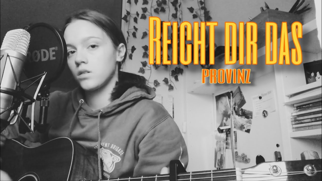 Reicht dir das - Provinz (cover)