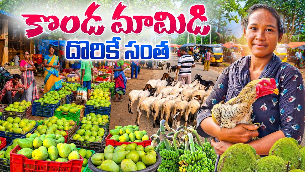 kasipatnam tribal market || kasipatnam santha
