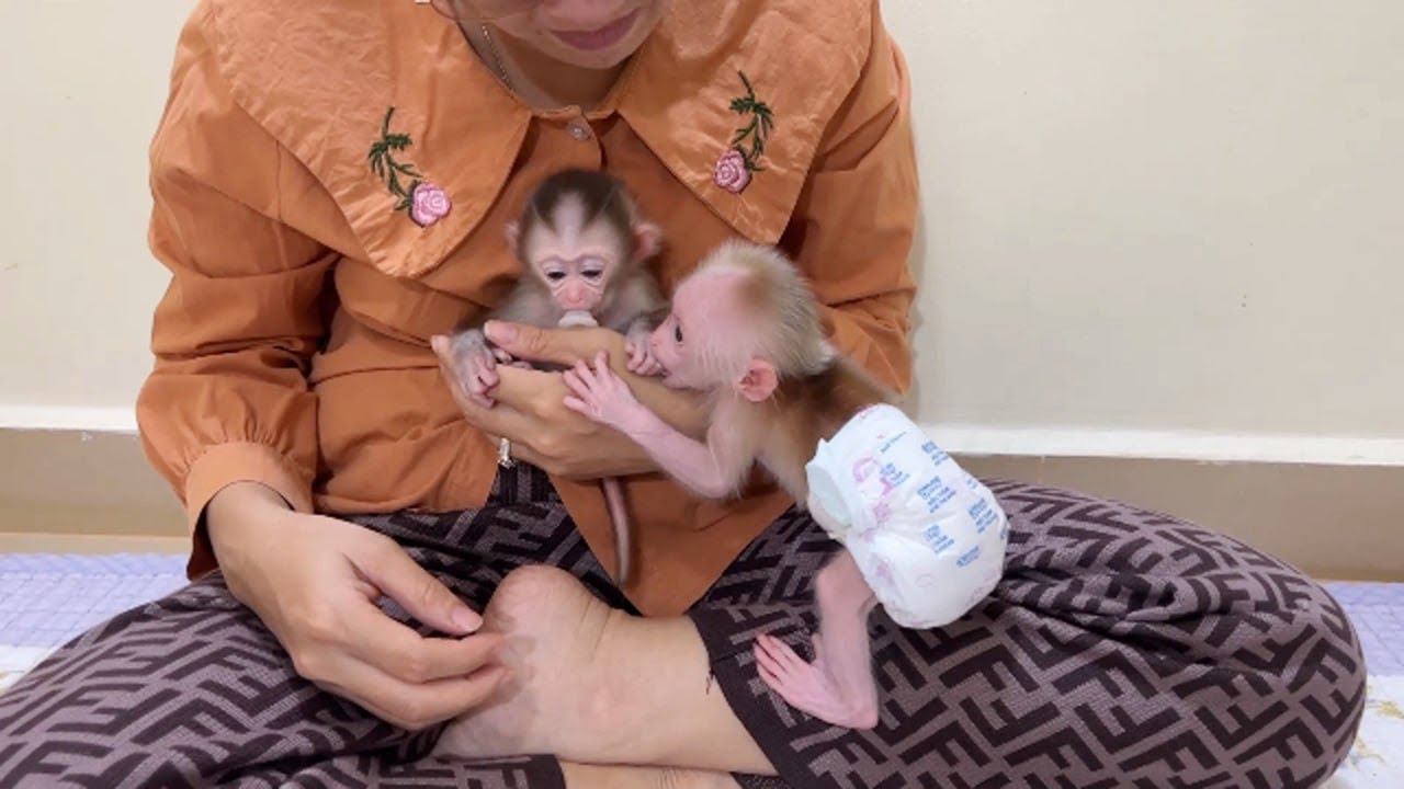 ChiChi Look Upsetting Jeal0usly When Mom Hug Only Linda