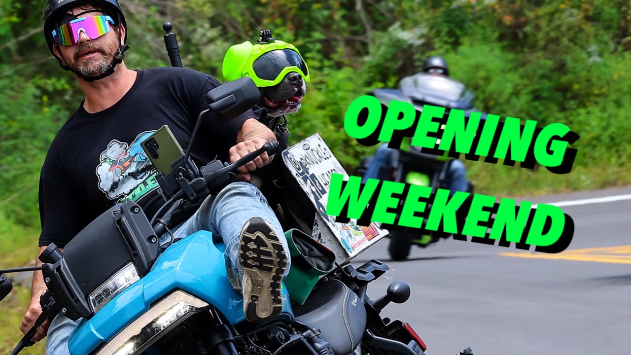 An Average Adventure Weekend for Knucklehead the Motorcycle Dog