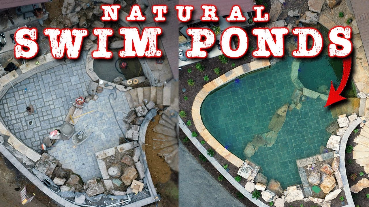 Natural Swim Ponds Like You've Never Seen | Looking Back Ep. 27