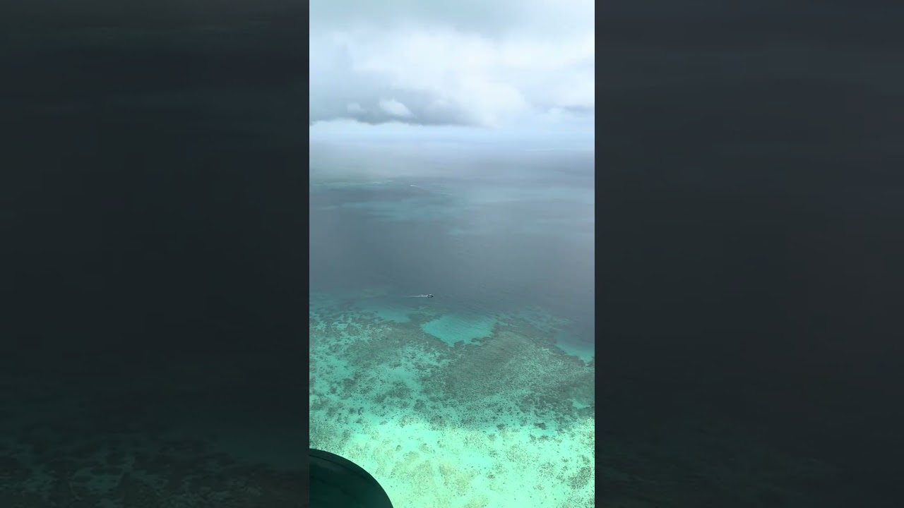 Boats and planes to the Reef.#Australia #greatbarrierreef 