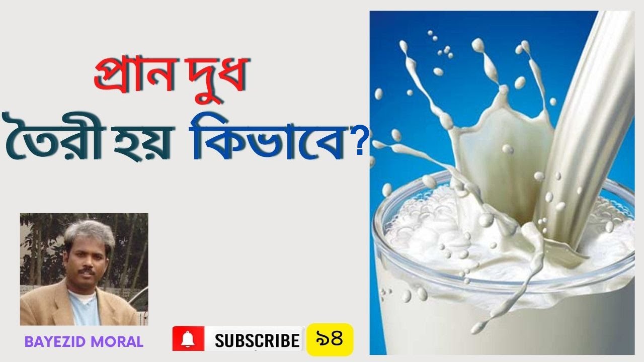 প্রাণ দুধ তৈরী হয় কিভাবে দেখুন | Pran Milk