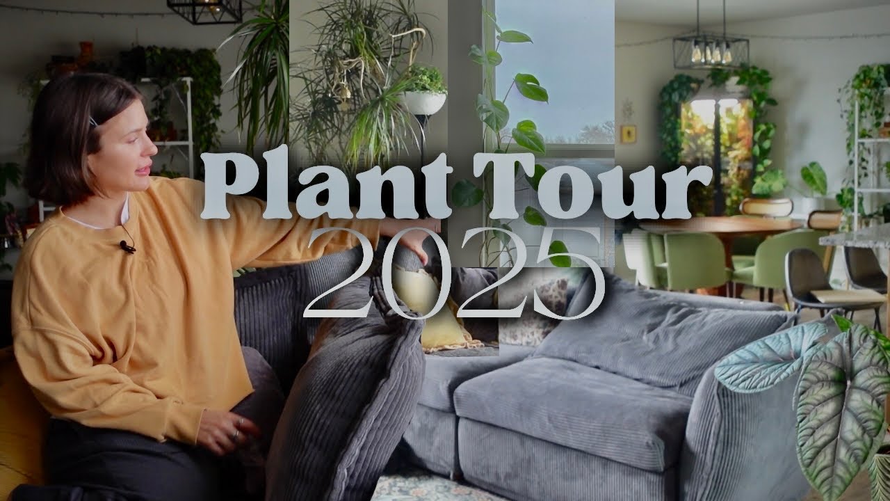 How I display my houseplants - full plant collection walk through 2025