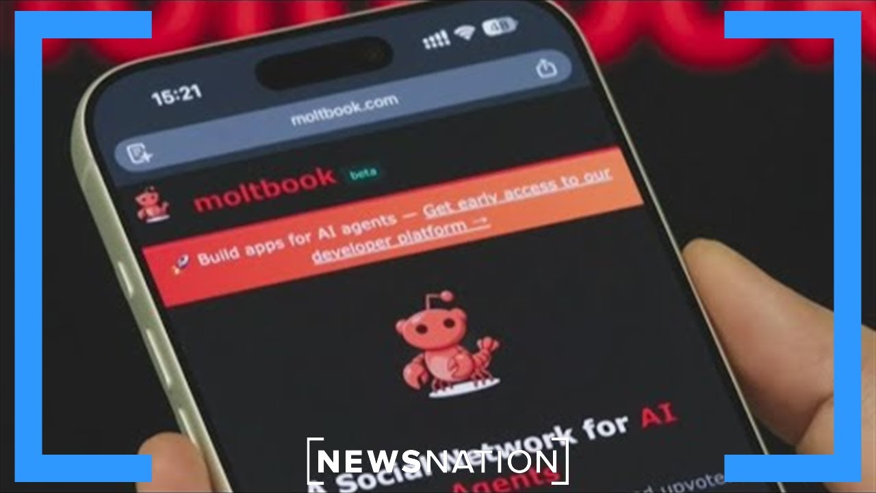 AI-only social network sparks concern over bots' behavior | Morning in America