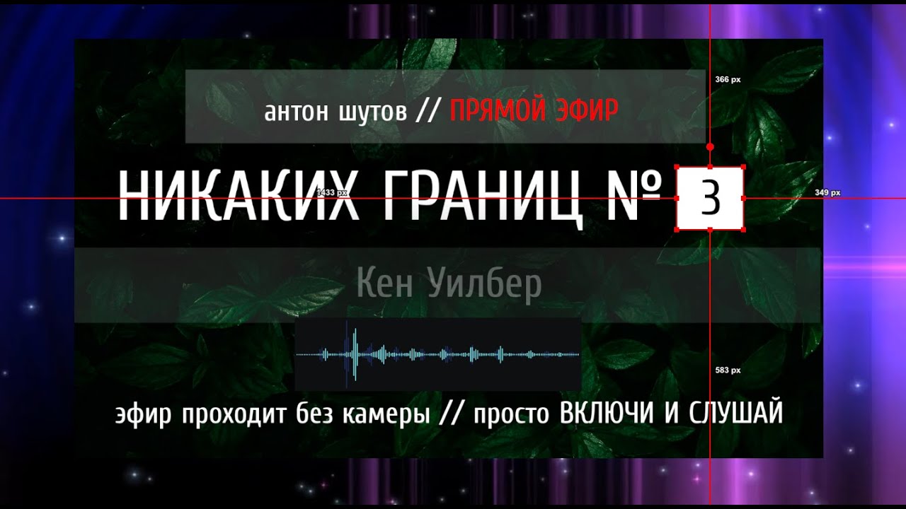 живое чтение - НИКАКИХ ГРАНИЦ (Кен Уилбер) № 2