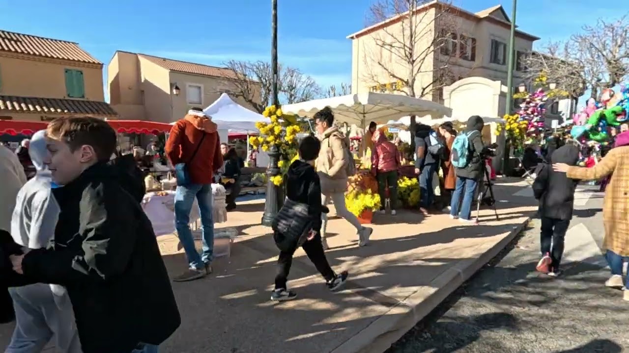 The Mimosa Festival in TANNERON  #southoffrance                       #festivaledumimosa 