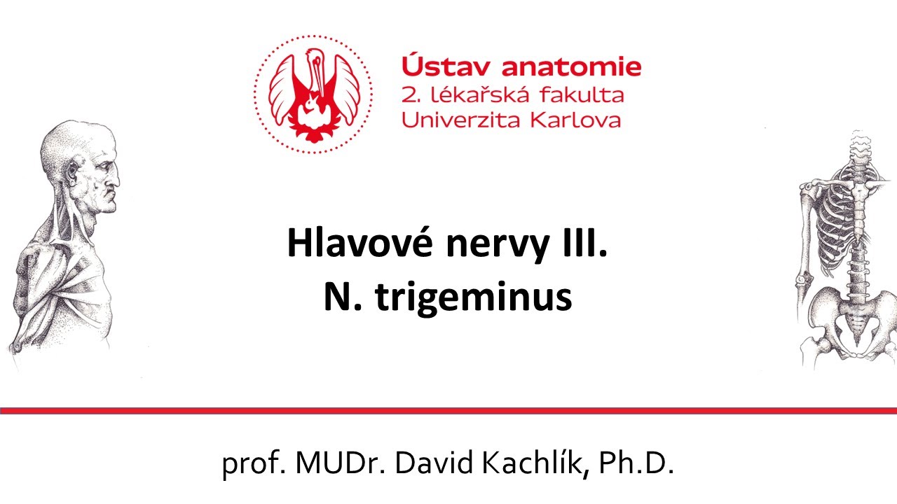 Hlavové nervy 3 V 22 3 2021