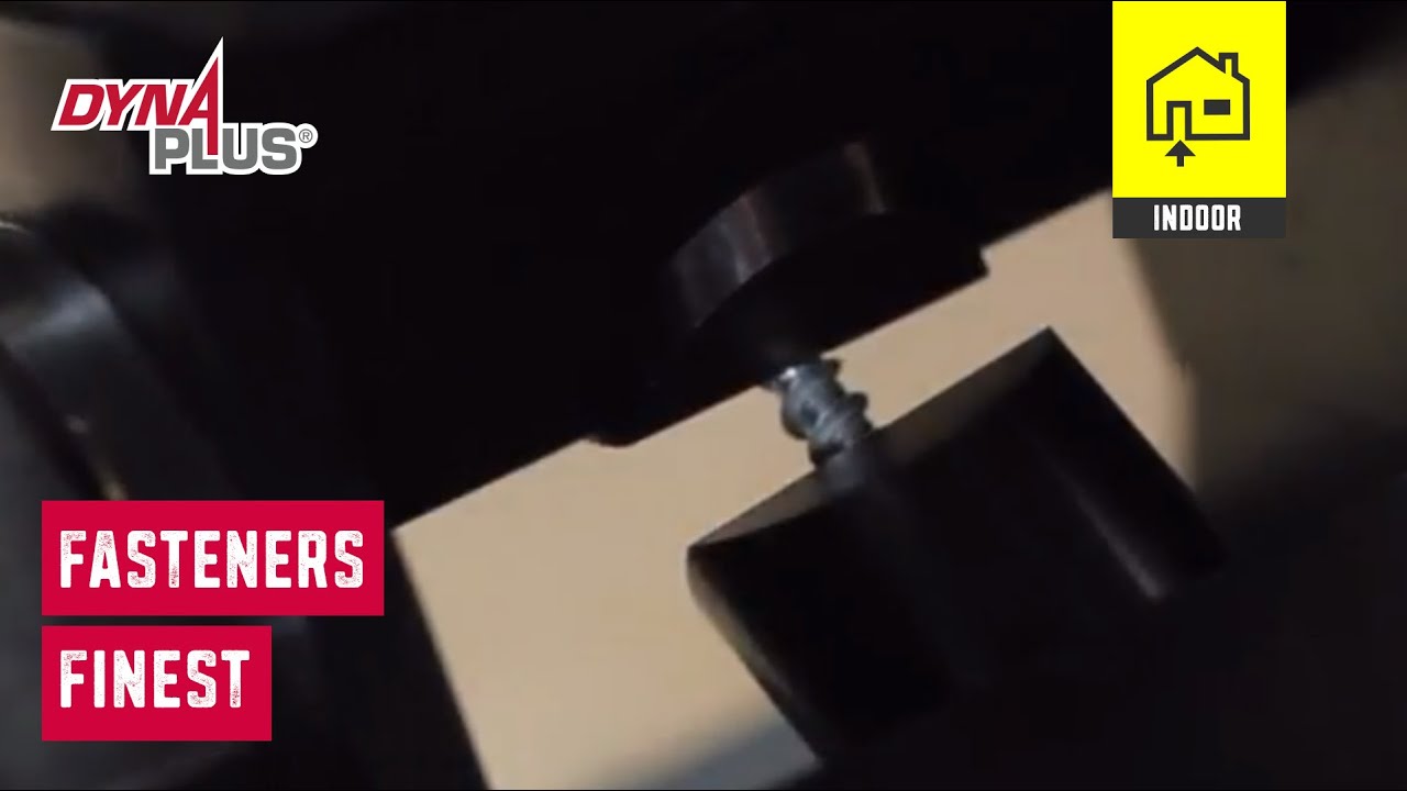 Dynaplus Universal screw Indoor