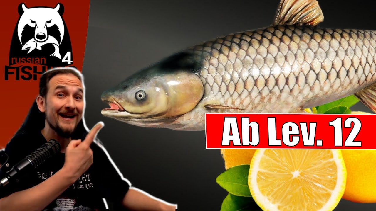 Russian Fishing 4 - Alte Festung - Amure Für Klein und Groß