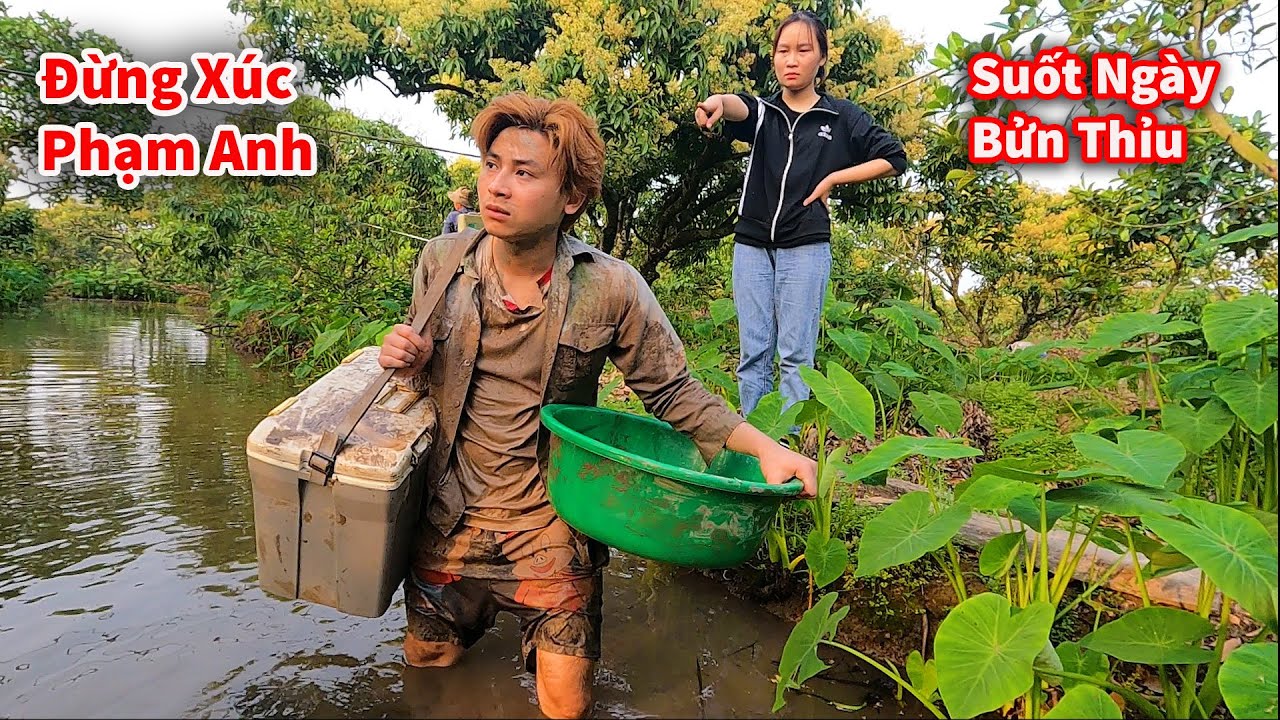 C&aacute;o Ca - Bị Mến X&uacute;c Phạm N&eacute;m Hết C&aacute; &Eacute;p Đi L&agrave;m || Hảo Con D&acirc;u