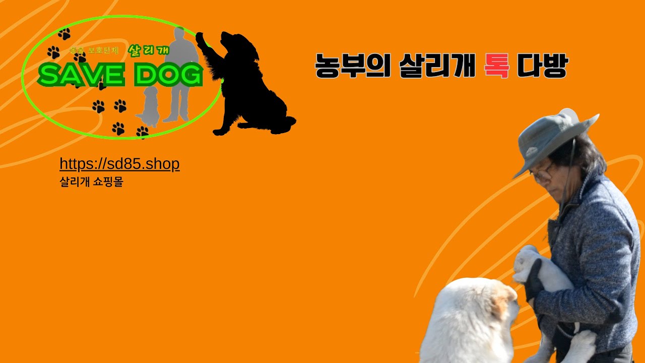 화요일 9시 살리개 신축 견사 이야기