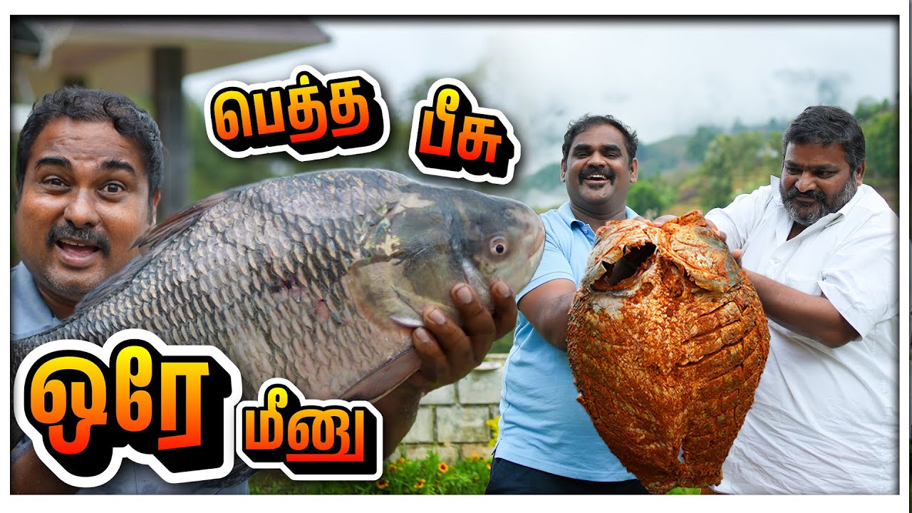 பெத்த பீசு ஒரே மீனு! | WFT Vlog