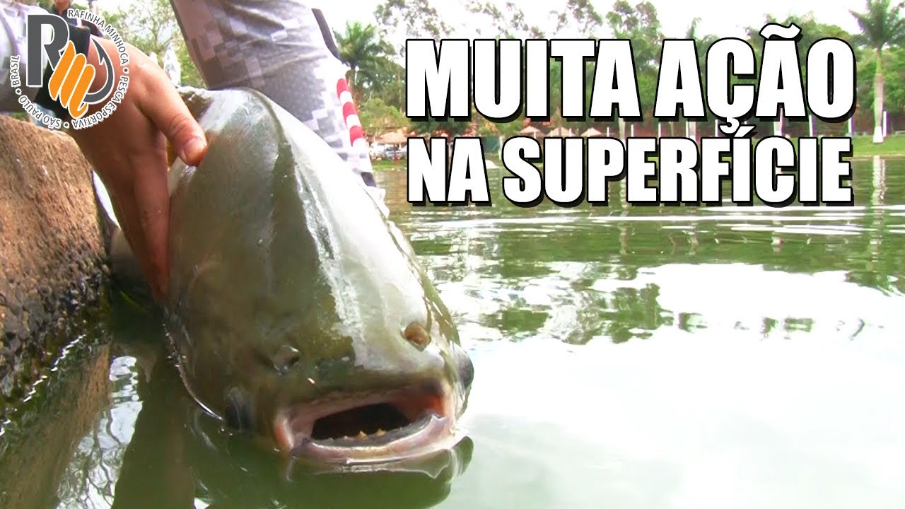 Muita Ação na Superfície - Pescando com Minhoca