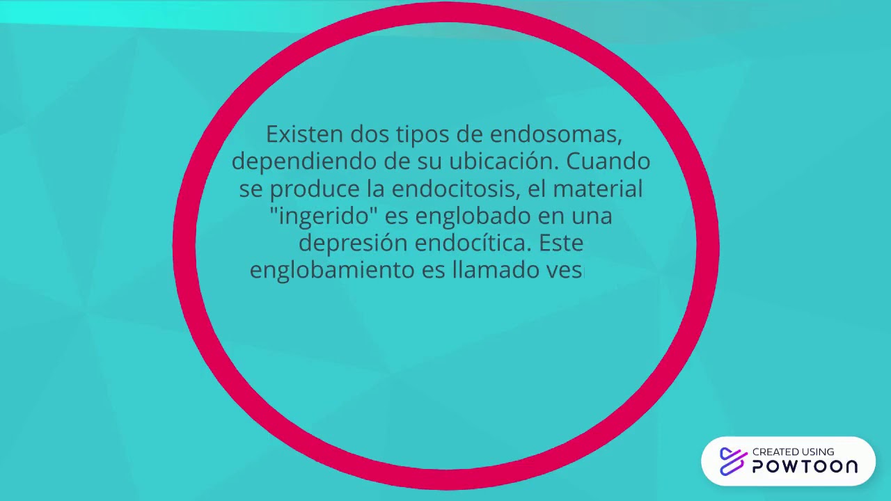 ENDOSOMA