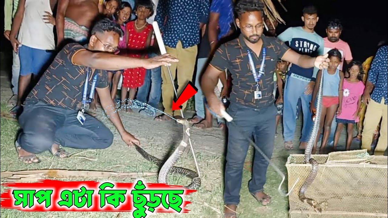 এ আবার কি সাপ যার কামড়ে মৃত্যু হয় না 😨  | Samiran Barik Rescuer |