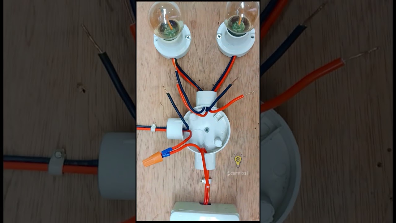 👷One Gang switch with Two lights Wiring #electricalwiring #wiring #electrical #camtips1 #asmr #diy
