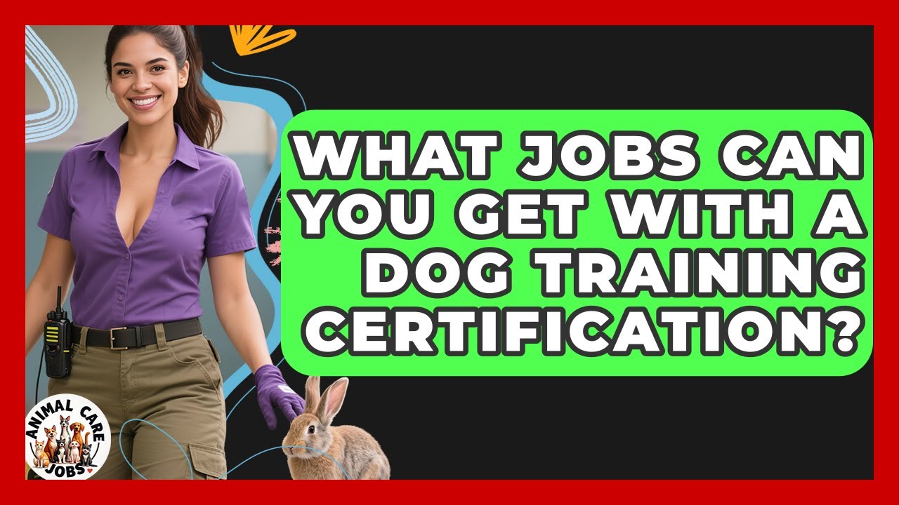 What Jobs Can You Get With a Dog Training Certification? | Animal Care Jobs