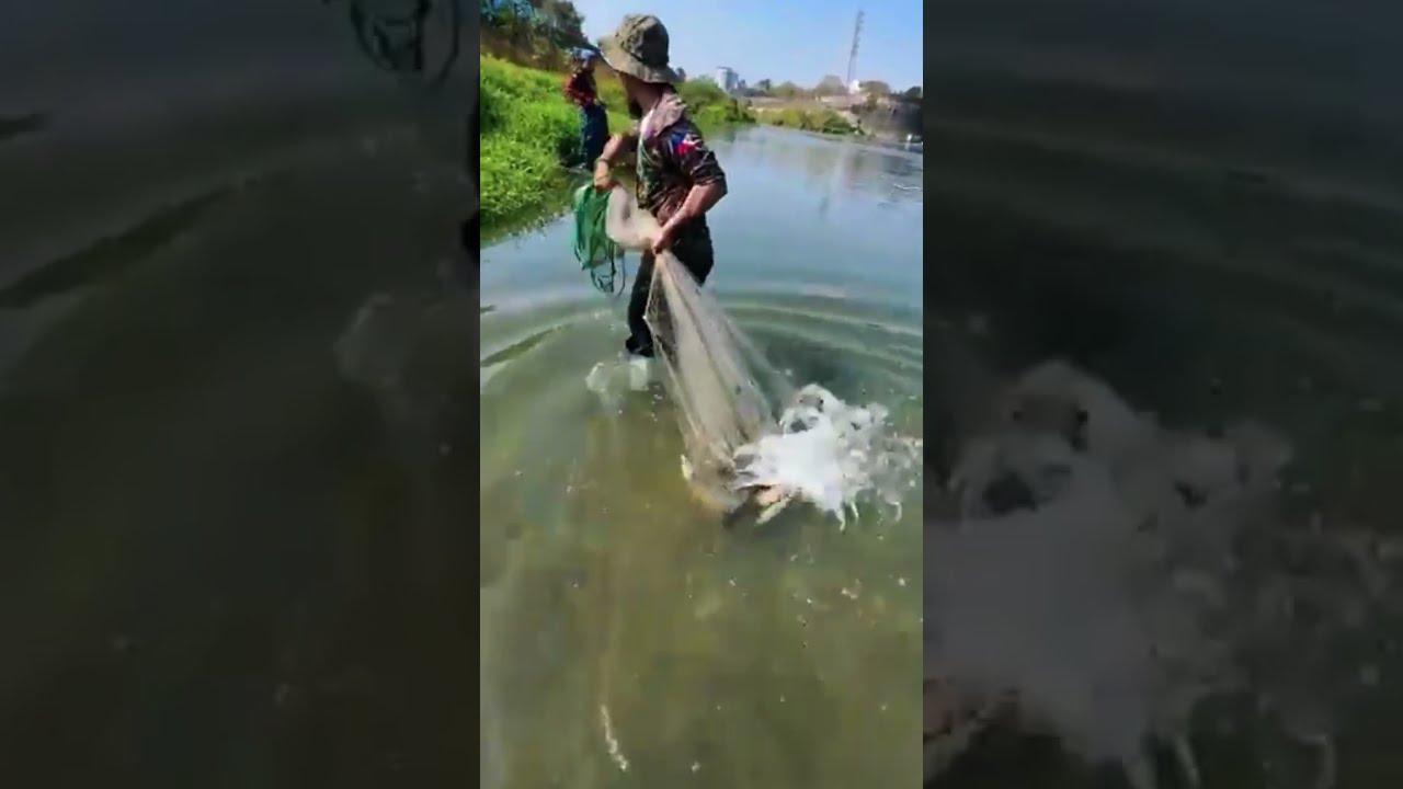 Top videos of traditional cast net fishing , amazing net fishing by throwing cast net Part 16