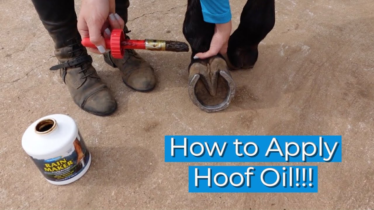 How to Apply Hoof Oil!!!