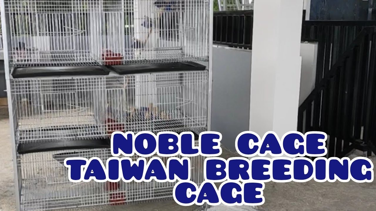 PAANO MAG ASSEMBLE NG NOBLE CAGE TAIWAN STYLE FOR BREEDERS | NAPAKA GANDA SULIT