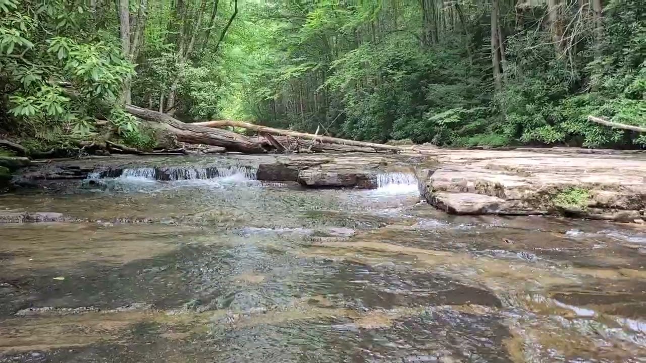 Campbell Falls (2023-06-18)