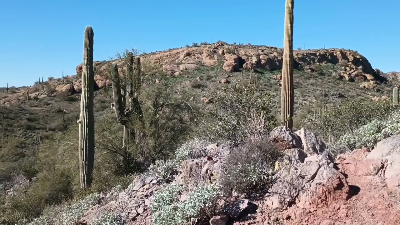 Second Water Hackberry Springs Loop