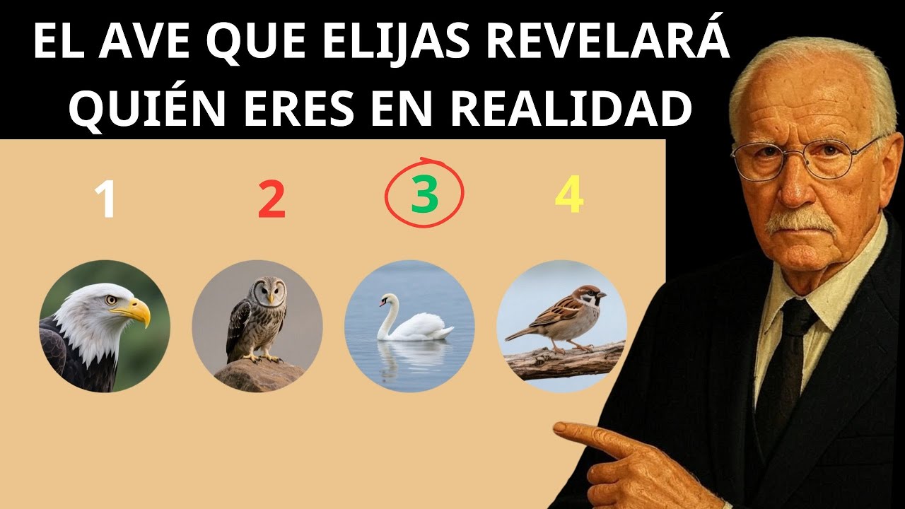 El ave que elijas revelará quién eres en realidad | Test de Jung