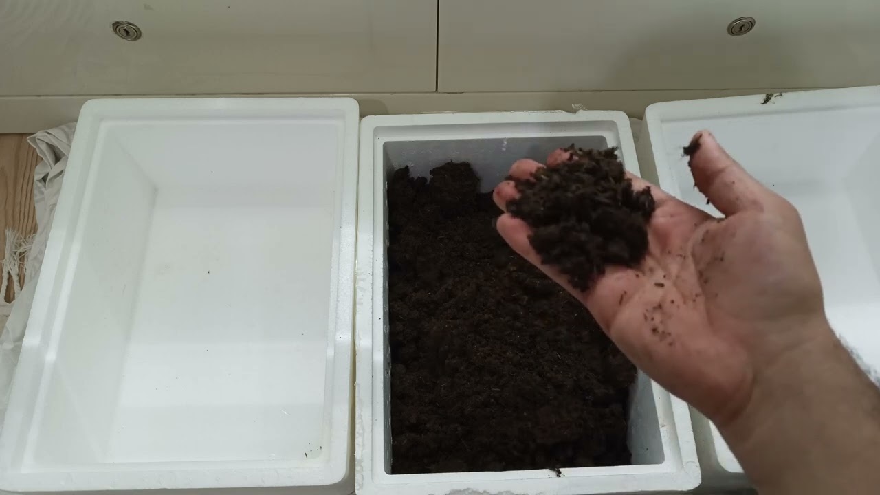 Tohum Çimlendirme Toprağı Nasıl Hazırlanır ?