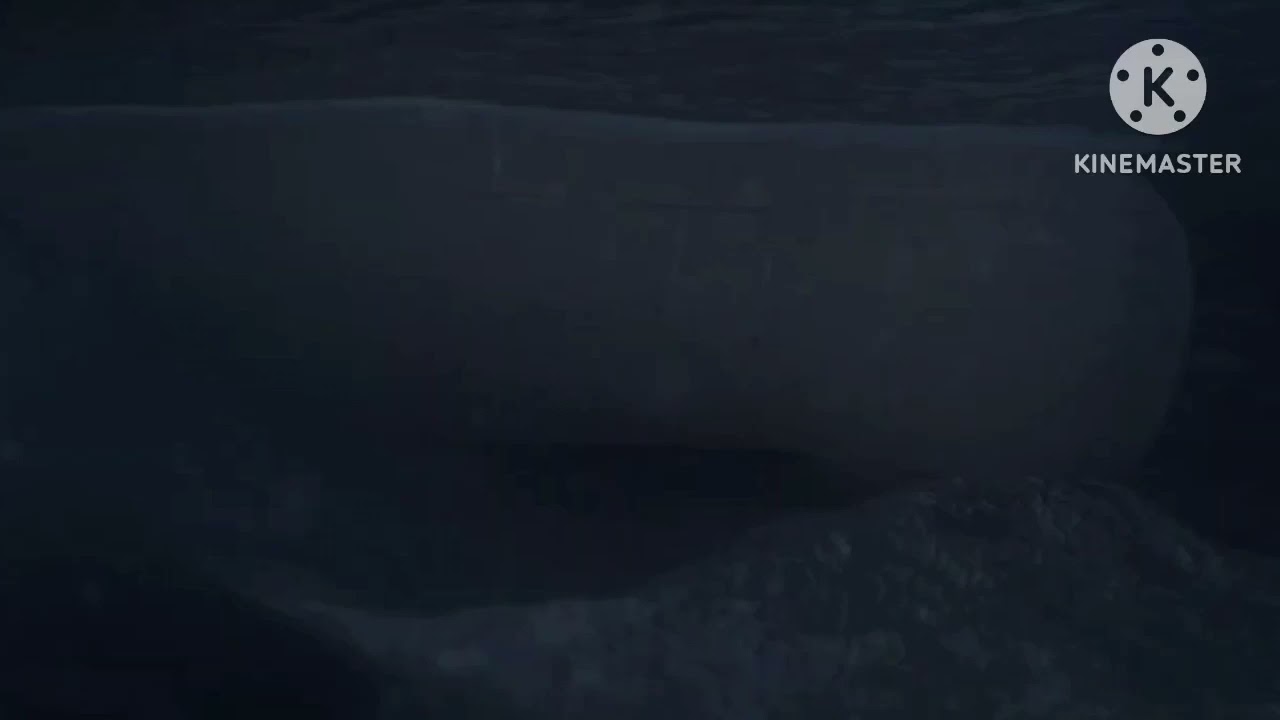 The Queen Of The North Sinks - Sleeping Sun