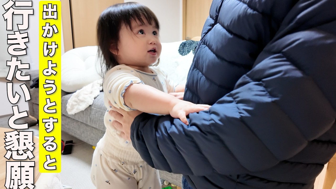 お出かけに連れてってと必死でアピールする柴犬と2歳児が可愛すぎました笑