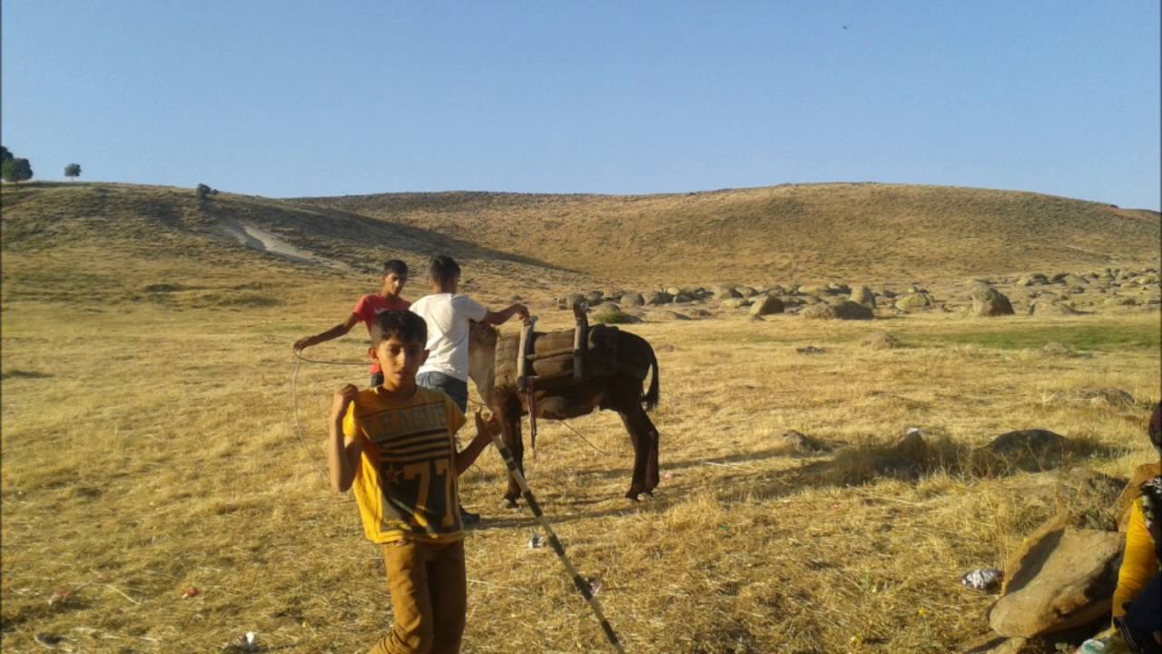 bingöl adaklı sevkar arzu köyü ABDUL CABBAR BATUK