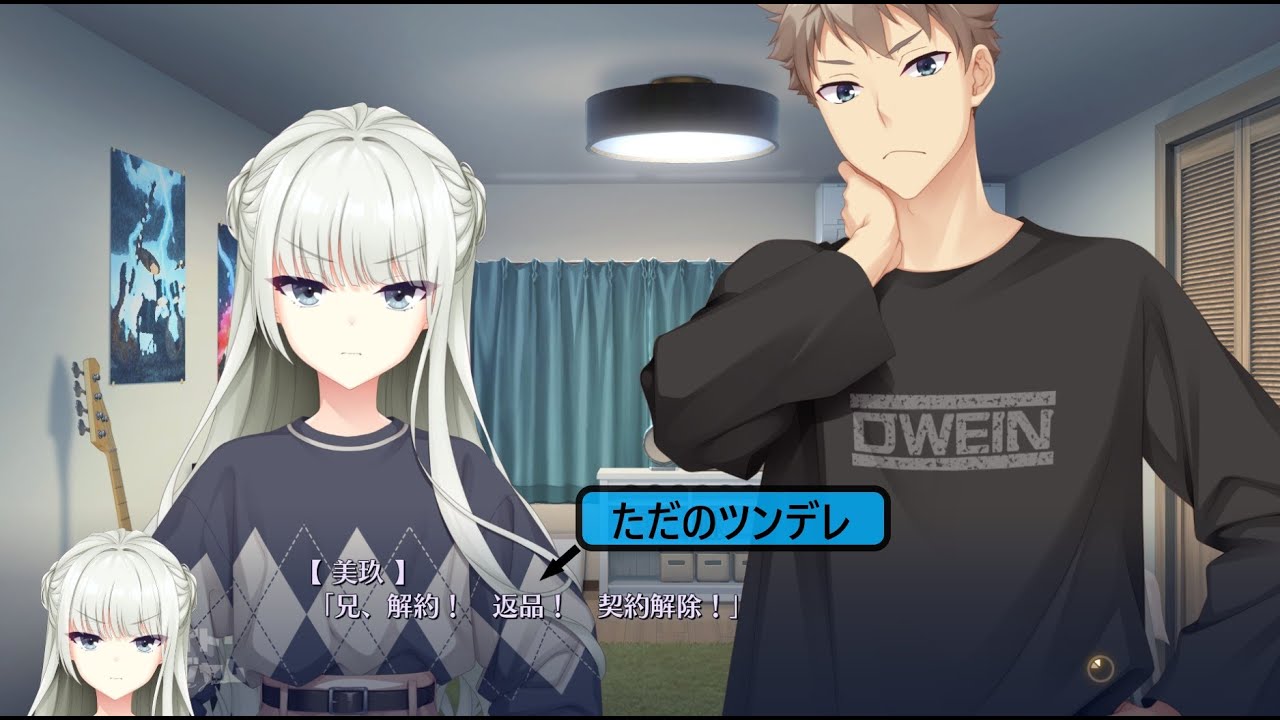 兄はただのシスコンなんです
