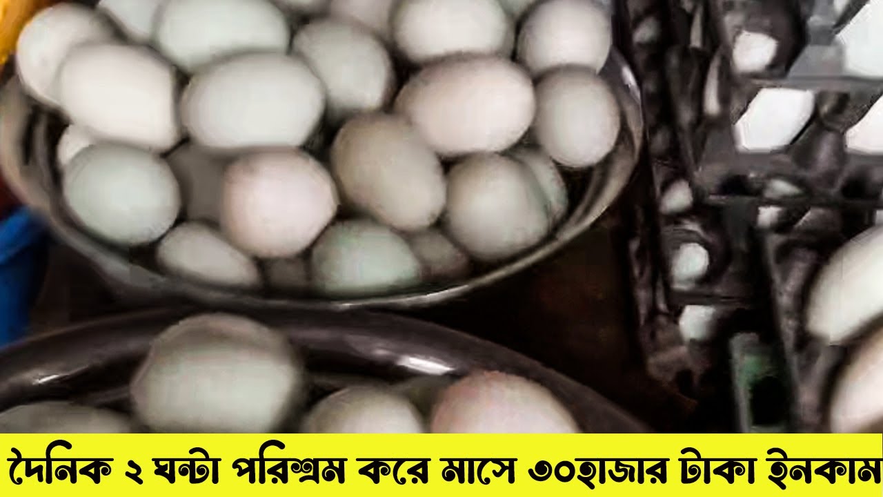 বেকার বসে না থেকে হাঁস পালন করুন || New Video || Viral Video || Argo Farm