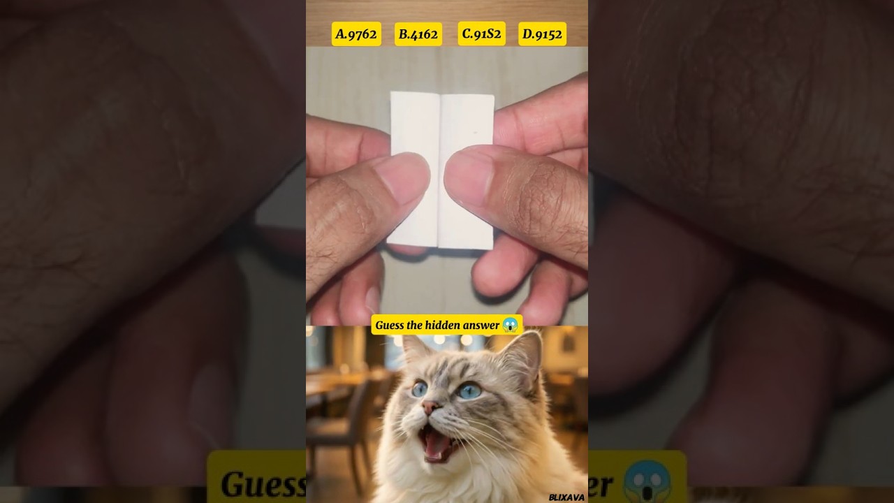 guess the hidden answer 🤪 #cat #guess #funny #memes