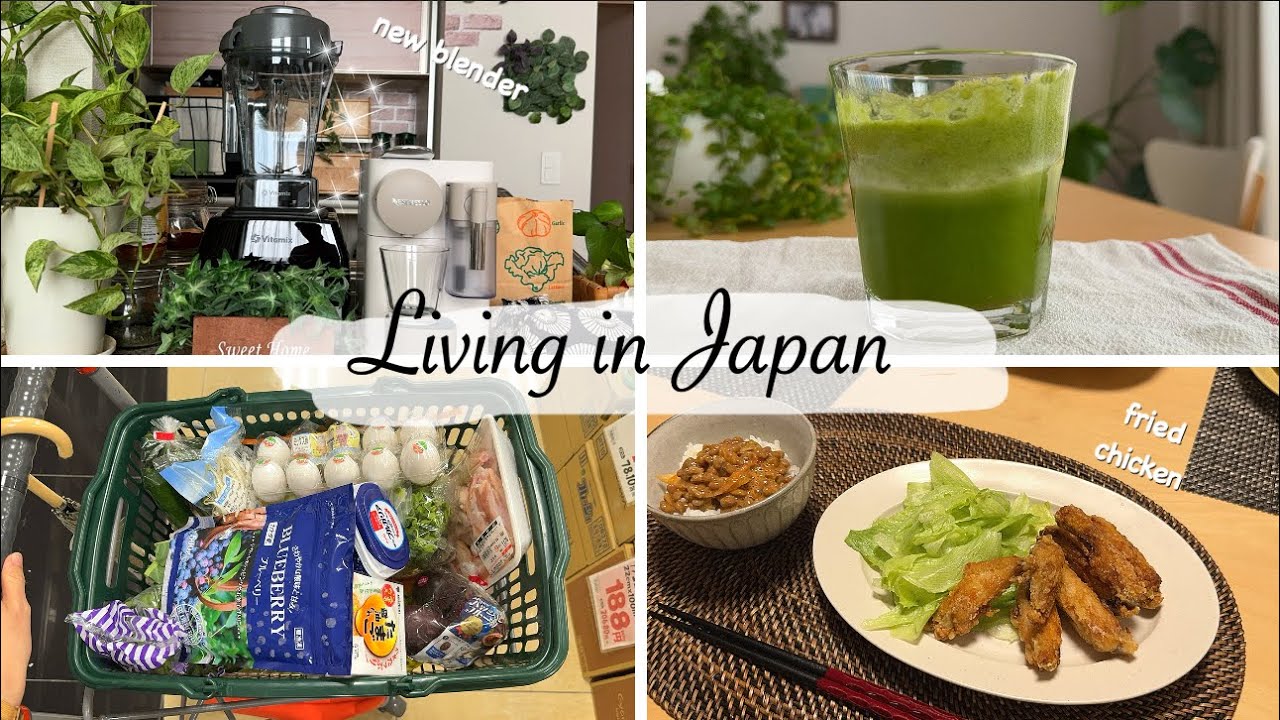 новый блендер для приготовления вкусного смузи и жареных куриных крылышек на ужин | живу в Японии
