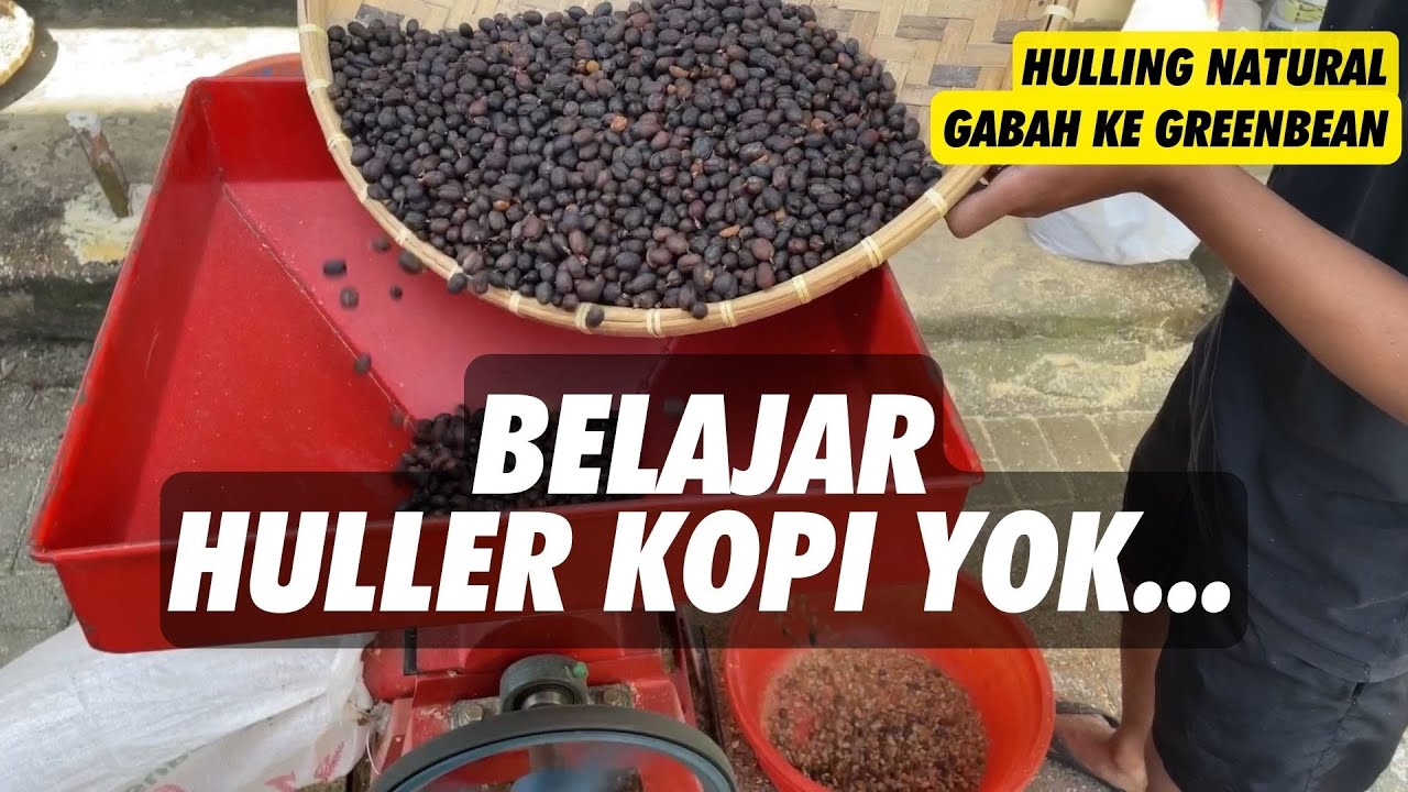 BELAJAR HULLING KOPI,PROSES PENTING SEBELUM MENJADI GREEN BEAN !!