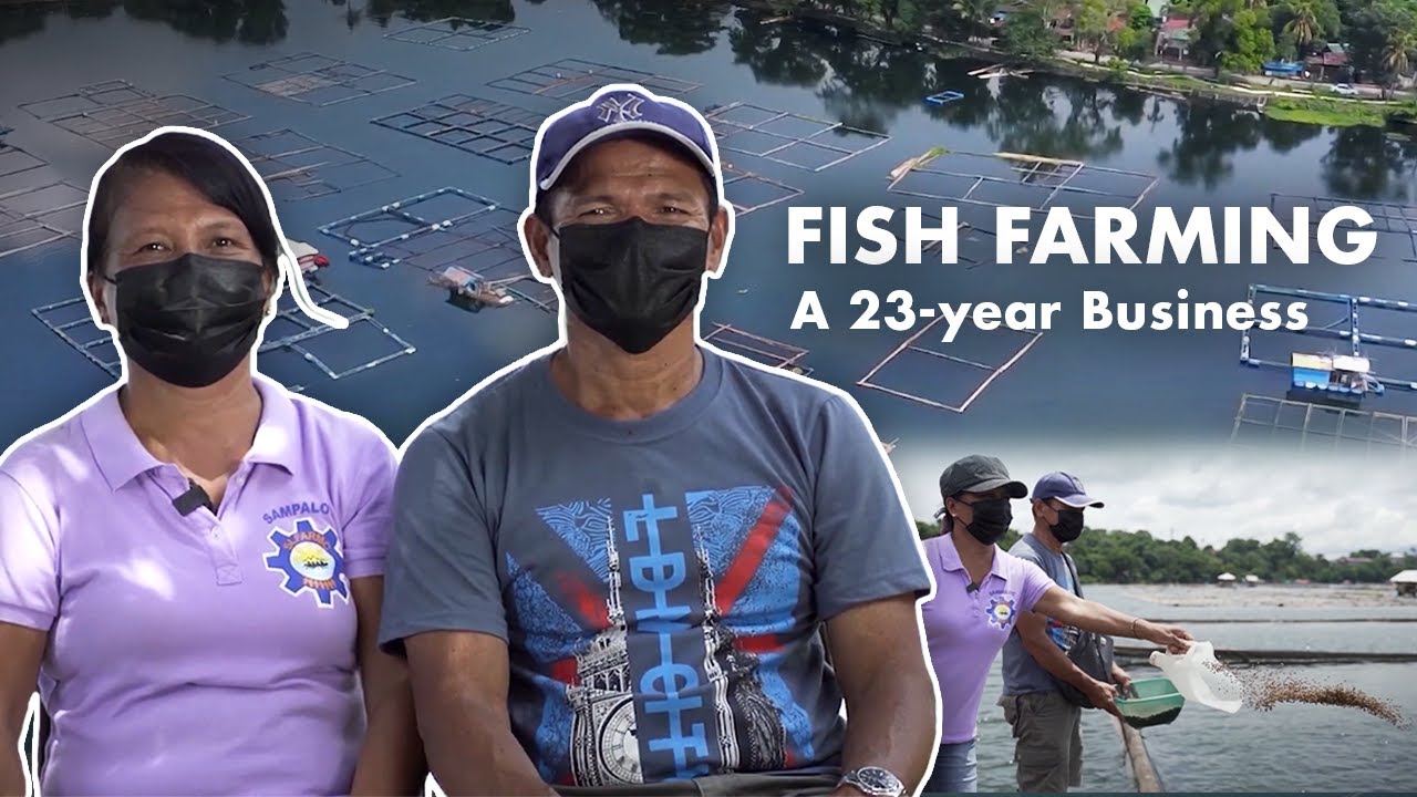 FISH FARMING: The Story Behind a 23-Year Fish Farming Business in the Philippines | Documentary