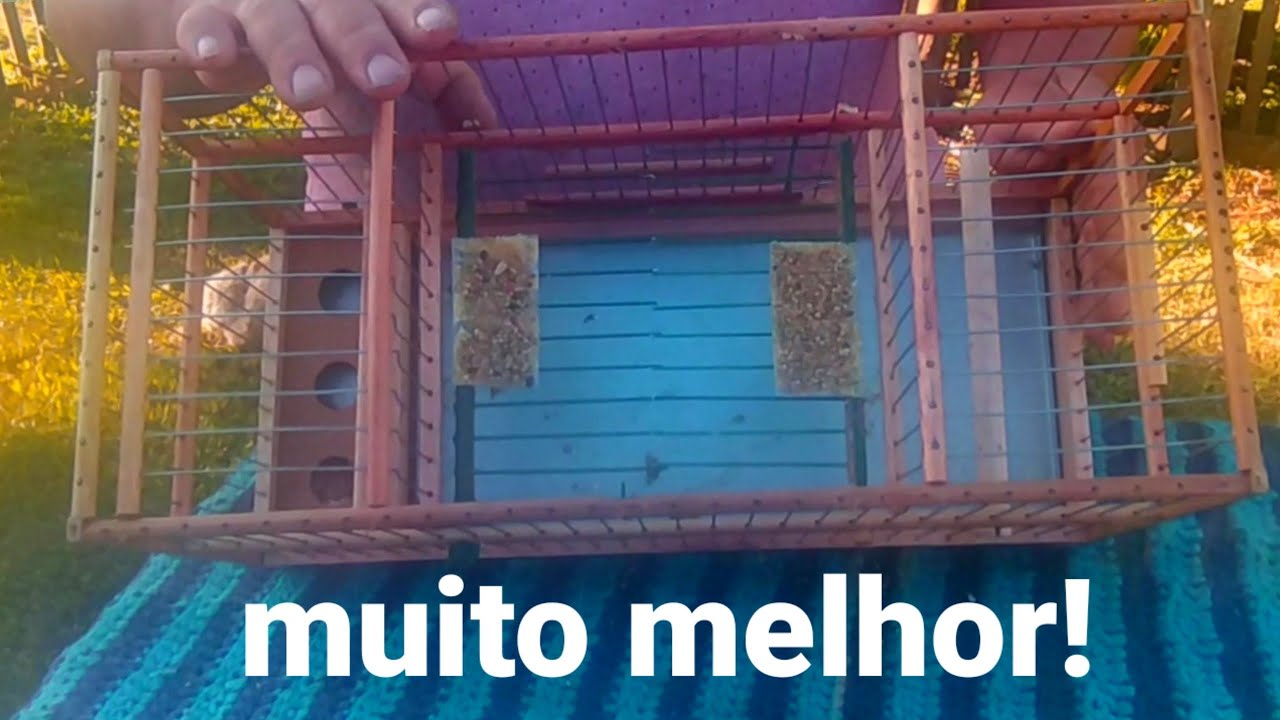 novo modelo de gaiola automática