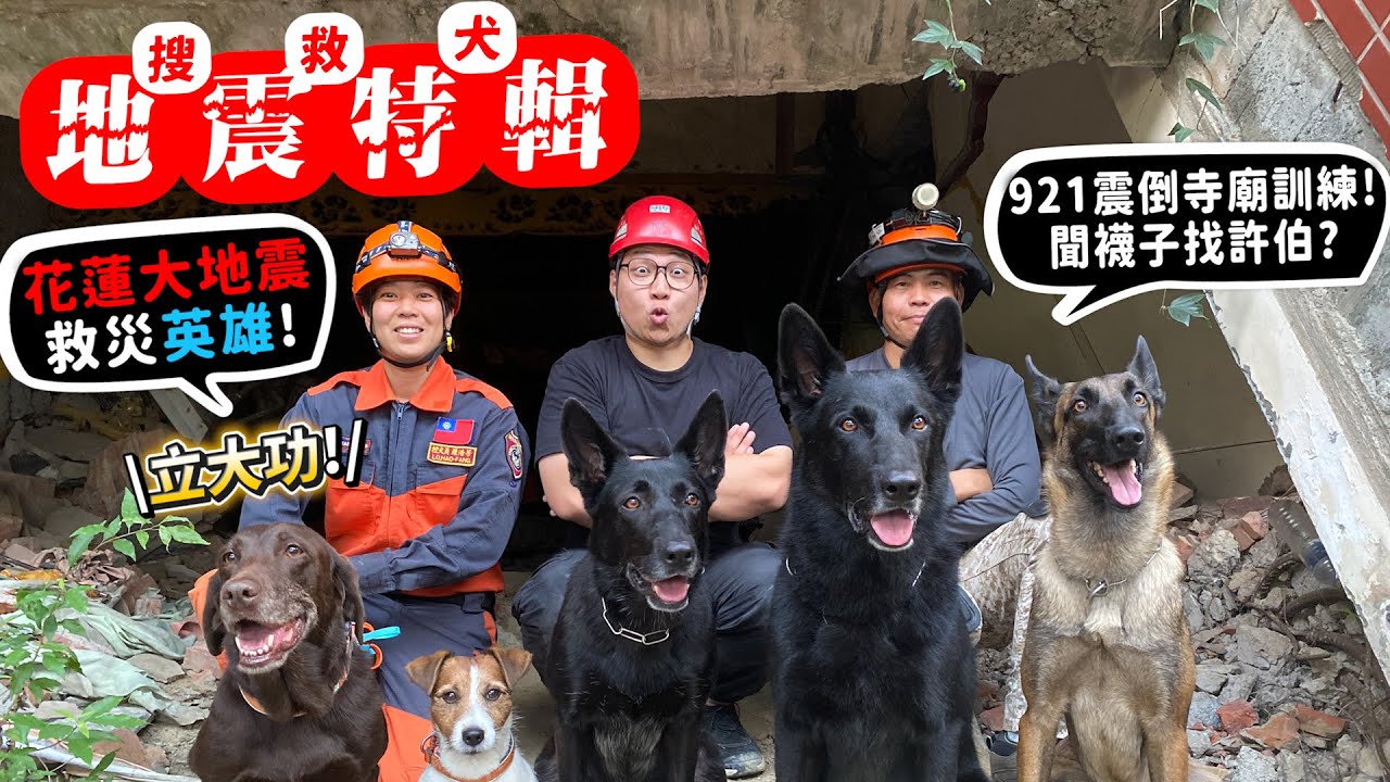 【從零開始養】搜救犬!花蓮大地震救災英雄!921震倒寺廟訓練!找通緝犯!失智老人!【許伯簡芝】