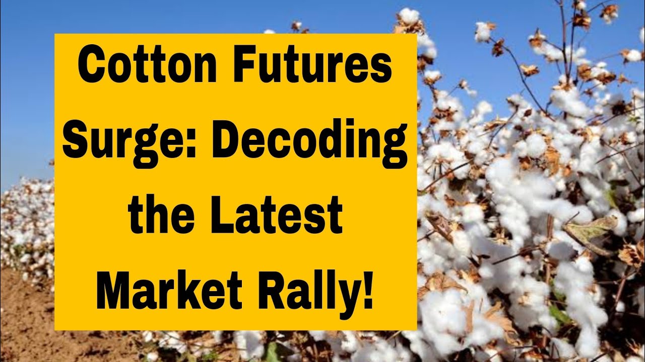 Cotton Futures Surge: Decoding the Latest Market Rally!