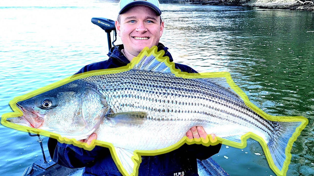 We Almost DESTROYED THE DANG BOAT MOTOR While Striper Fishing!