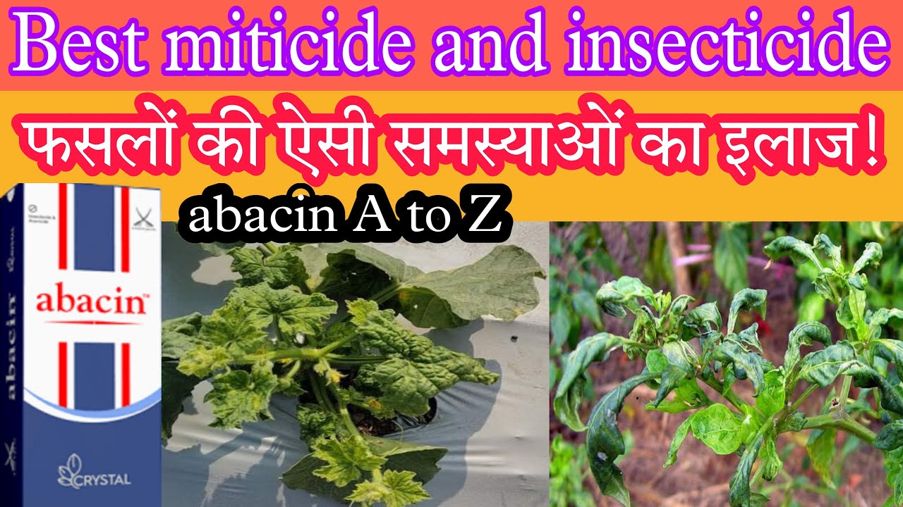 abacin insecticide। abacin insecticide uses in hindi। abamectin insecticide।#crystal_abacin