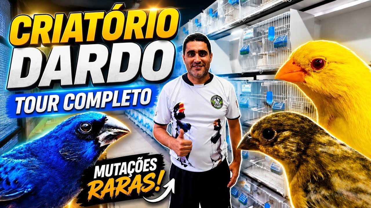 TOUR COMPLETO NO CRIATÓRIO DARDO: Coleiros, Azulões e Mutações Incríveis!