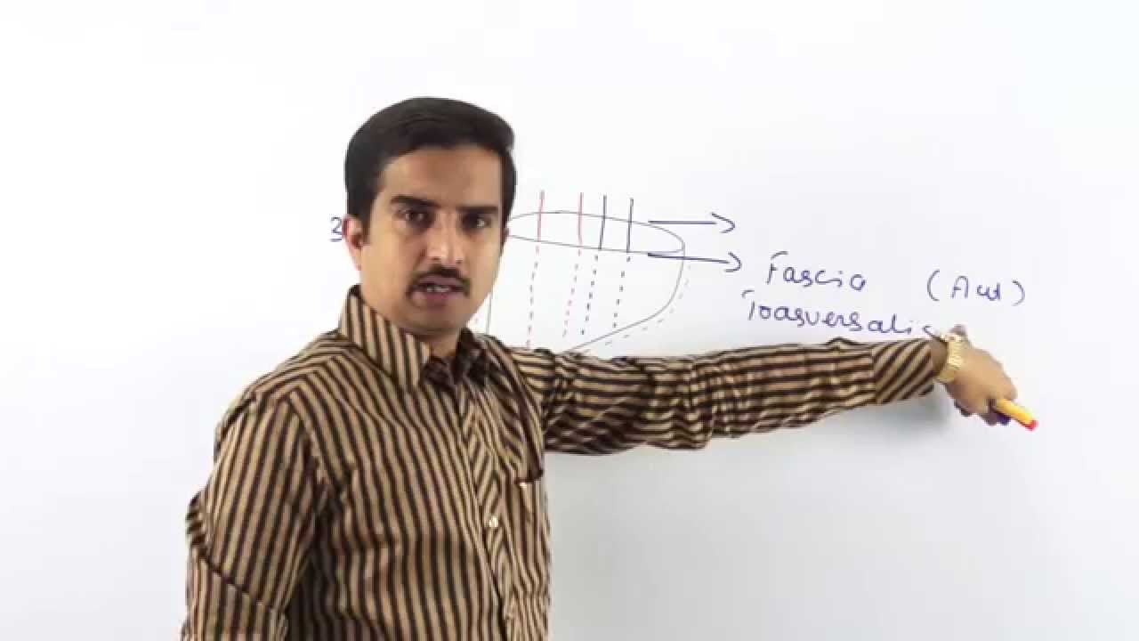 Anatomy Front of the thigh ( Femoral sheath ) - Part 5   ( Dr.G.Bhanu Prakash )