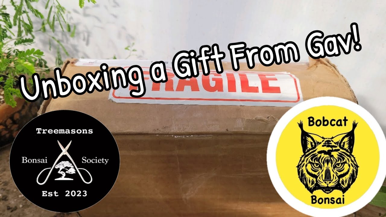 Unboxing a Gift From @NotAnotherBonsaiChannel