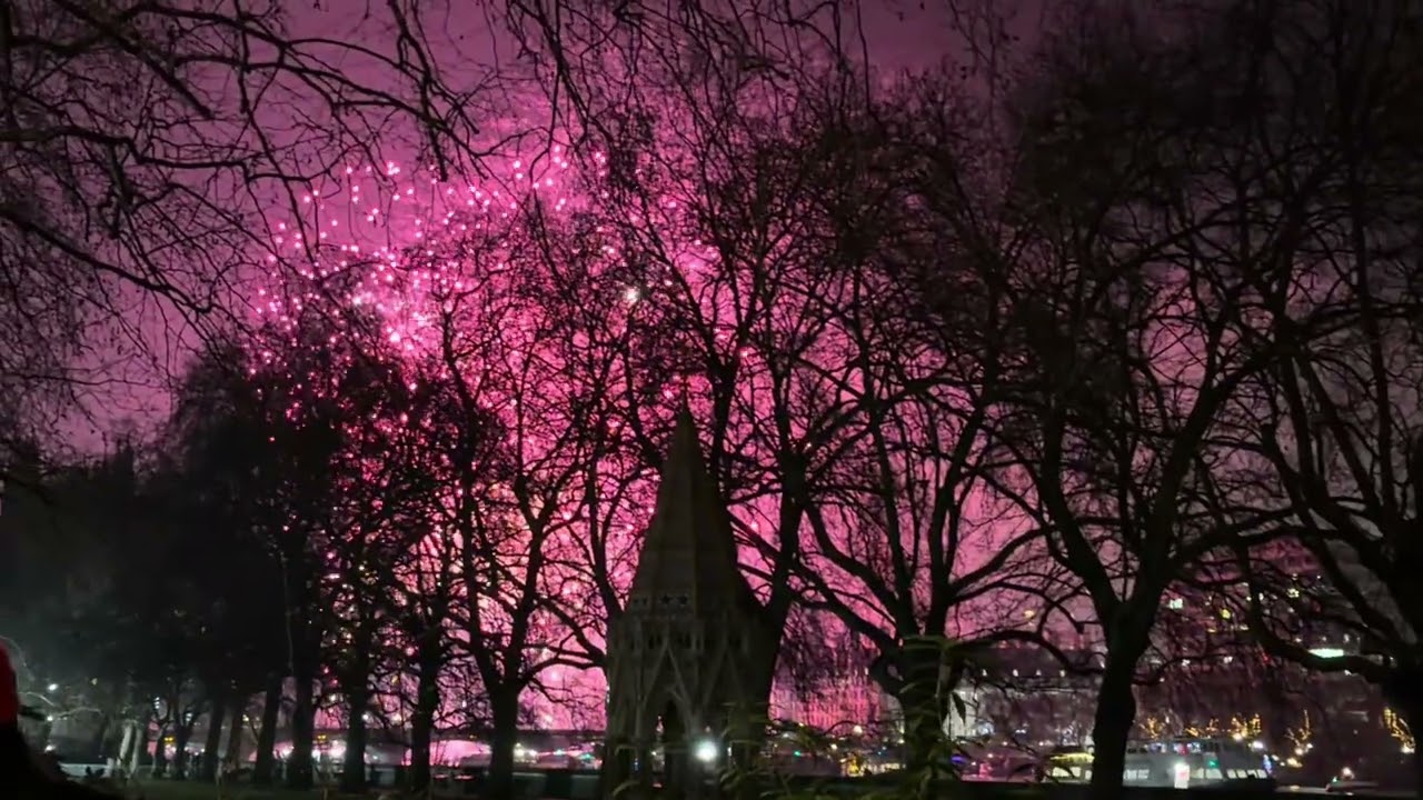 New year fire work in London #fireworks #londoneye #newyear  #2026