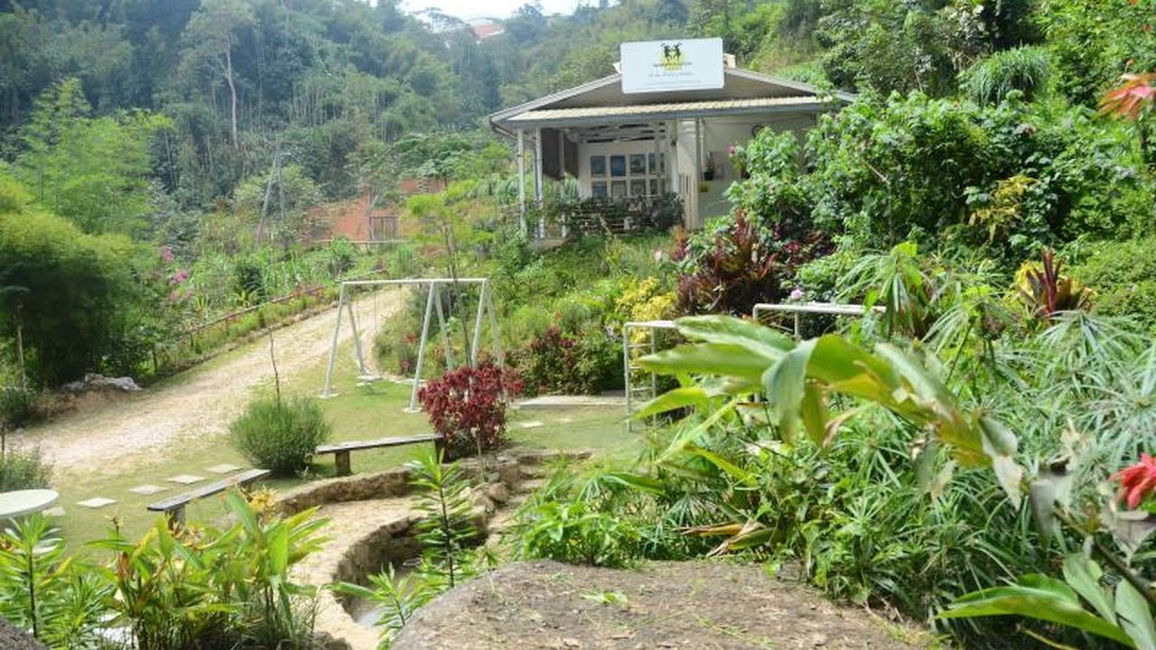 Moonriver Lodge | Gua Musang, Malaysia | Hotel Review 🏩