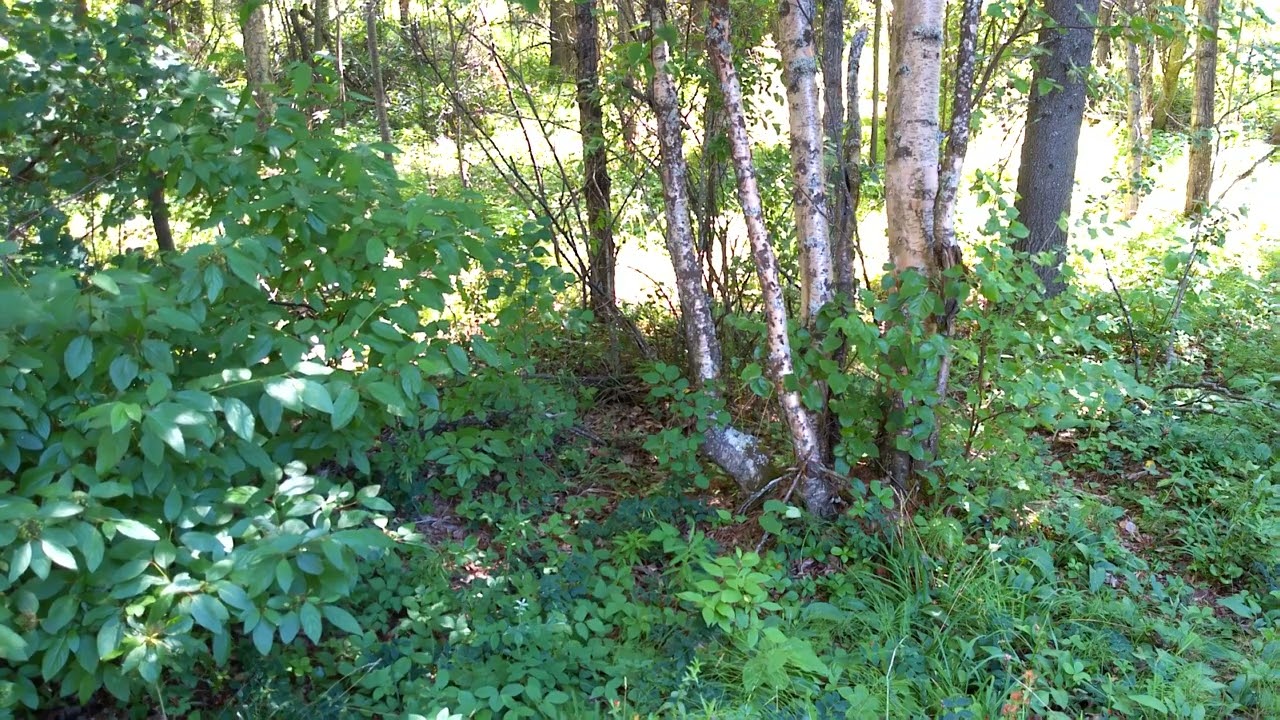 Valemount British Columbia