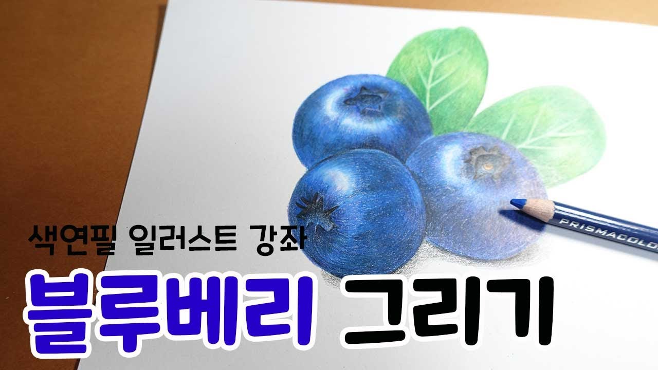 차근차근 따라그리는 색연필 일러스트 